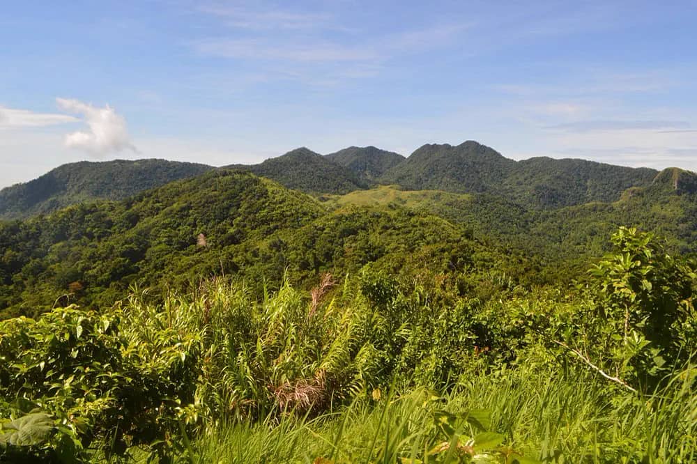 Mt. Manabu