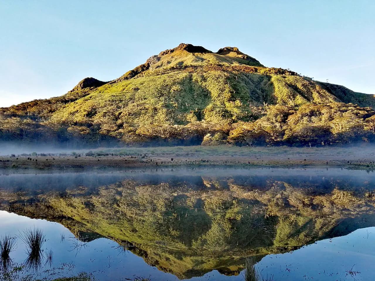 Mt. Apo