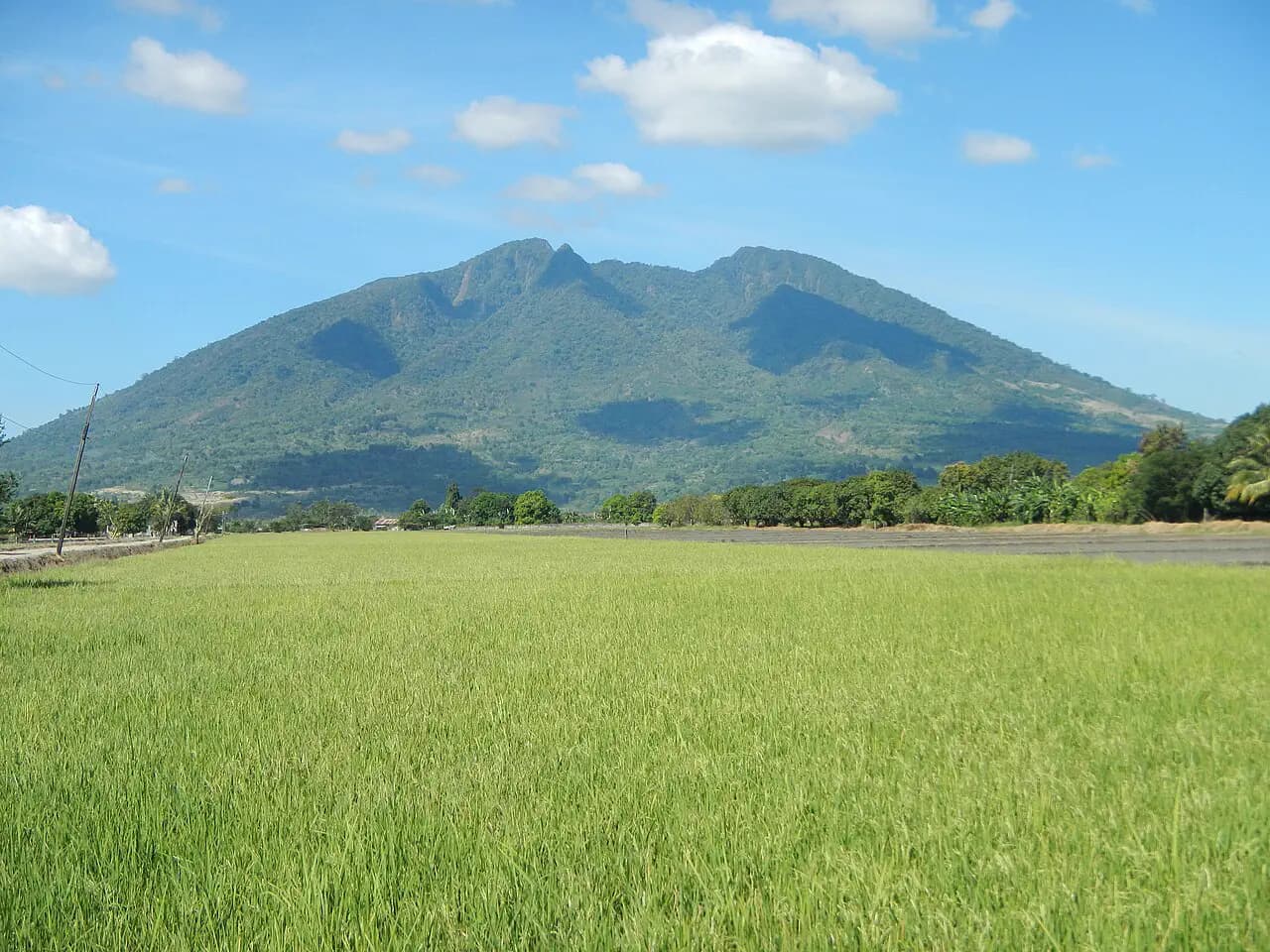Mt. Arayat