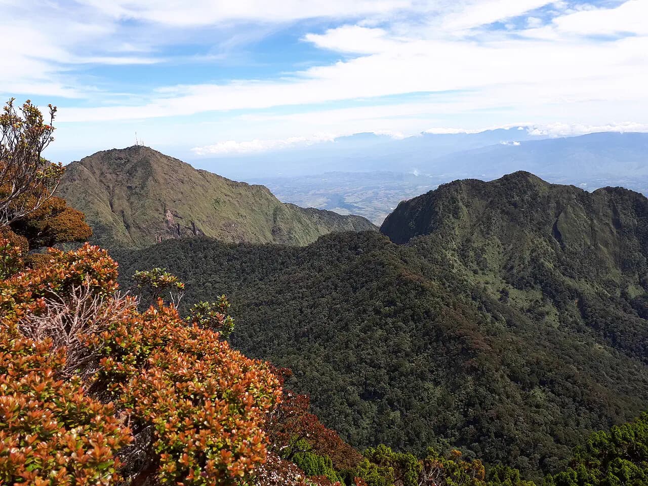 Mt. Kitanglad