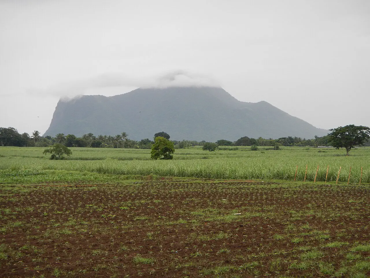 Mt. Makulot