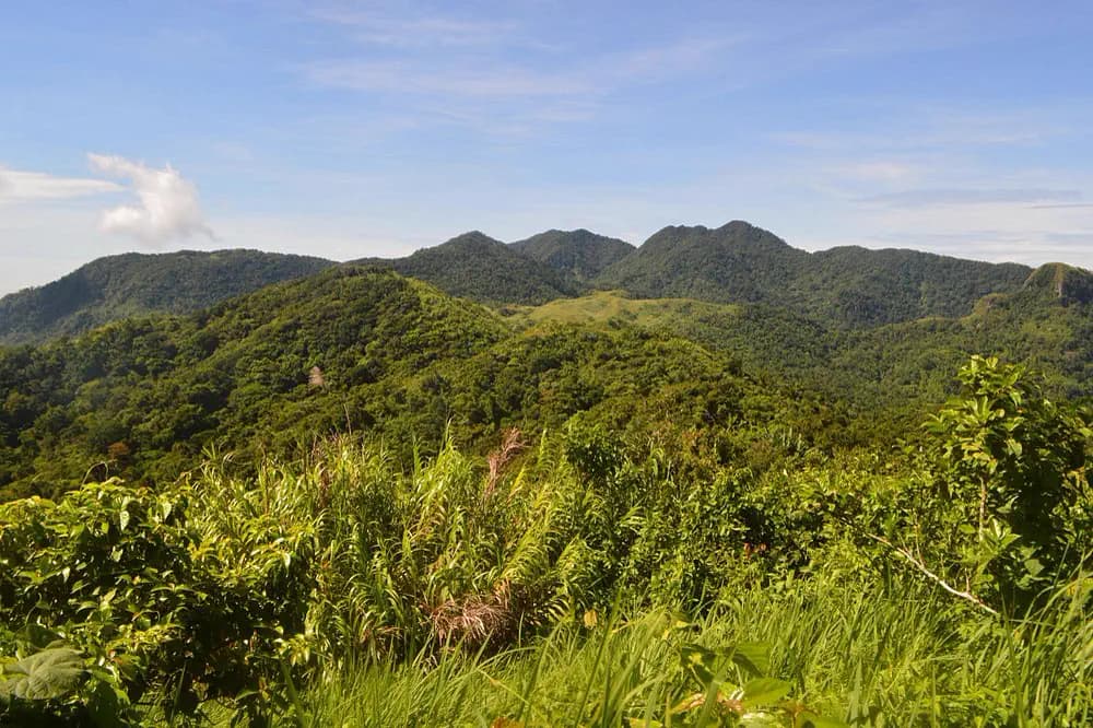 Mt. Manabu