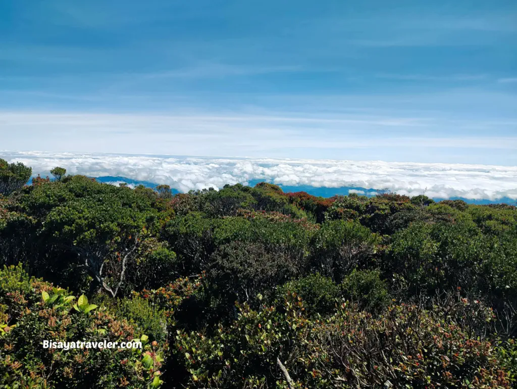 Mt. Tabayoc