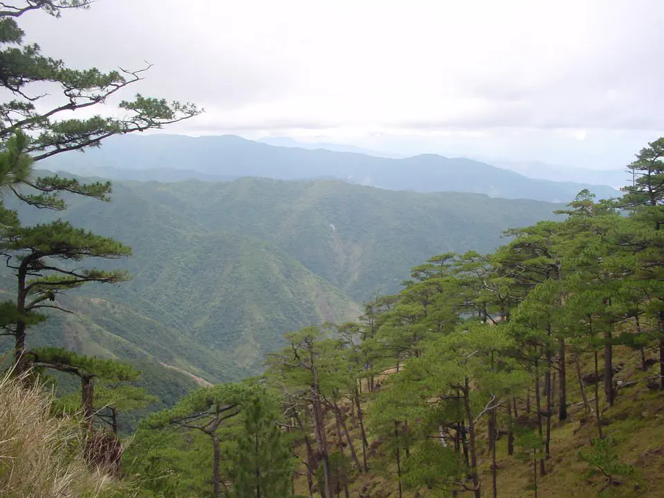Mt. Tapulao