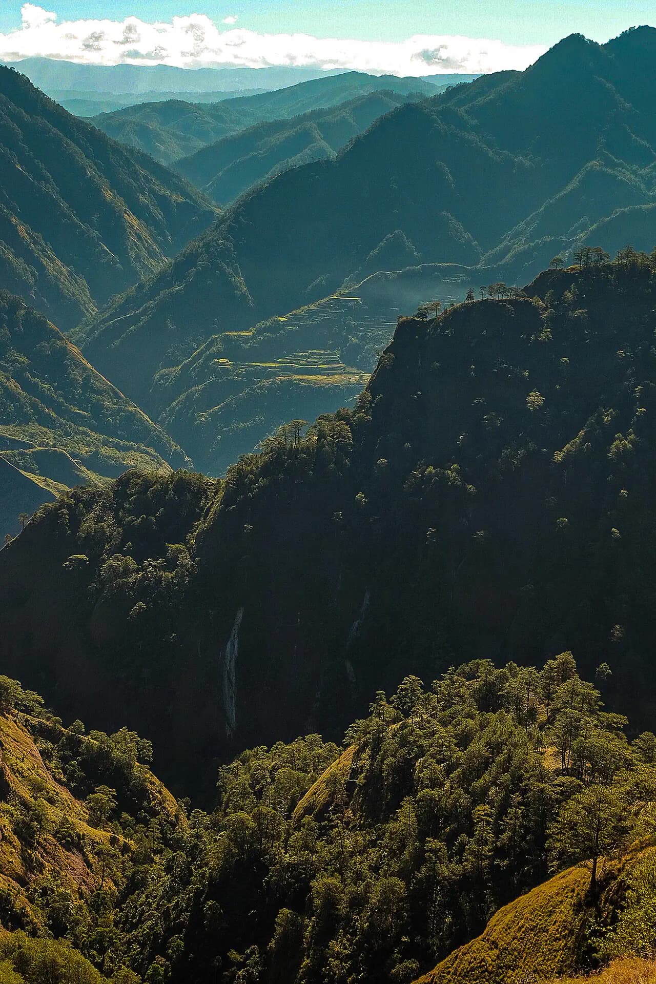 Mt. Tenglawan